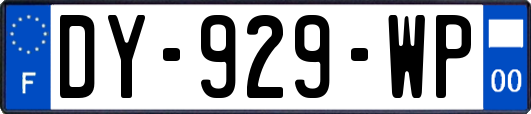 DY-929-WP