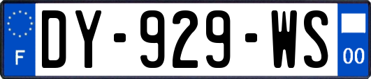 DY-929-WS