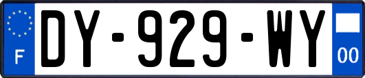 DY-929-WY