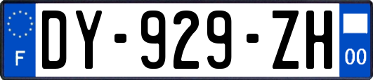 DY-929-ZH