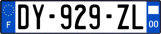 DY-929-ZL