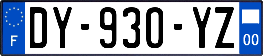 DY-930-YZ