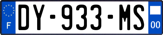DY-933-MS