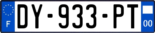 DY-933-PT