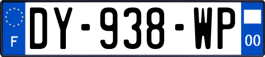 DY-938-WP