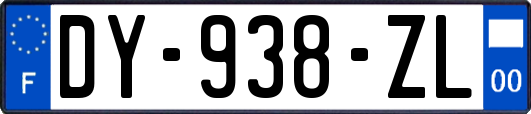 DY-938-ZL