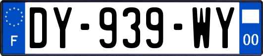 DY-939-WY