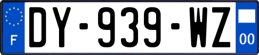 DY-939-WZ