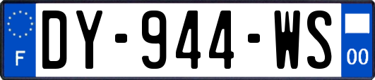 DY-944-WS