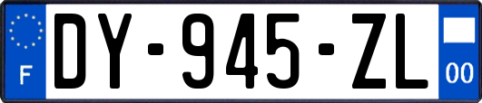 DY-945-ZL