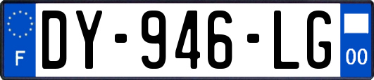 DY-946-LG