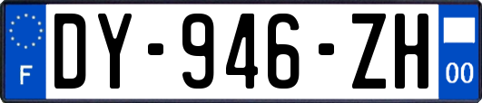 DY-946-ZH