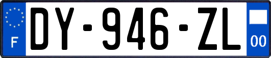 DY-946-ZL