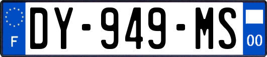 DY-949-MS