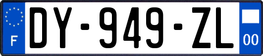 DY-949-ZL