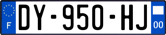 DY-950-HJ