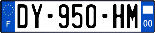 DY-950-HM