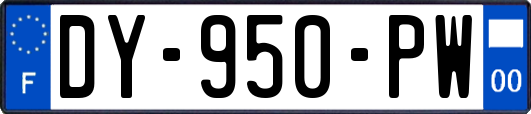 DY-950-PW