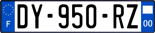 DY-950-RZ