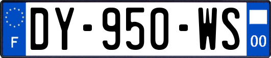 DY-950-WS