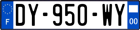 DY-950-WY