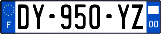 DY-950-YZ