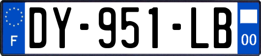 DY-951-LB
