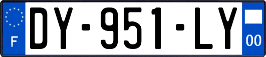 DY-951-LY