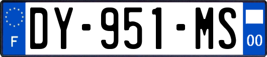 DY-951-MS