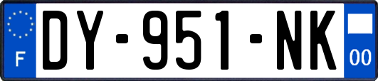 DY-951-NK