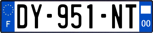DY-951-NT
