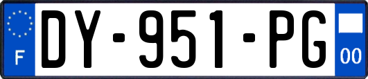 DY-951-PG