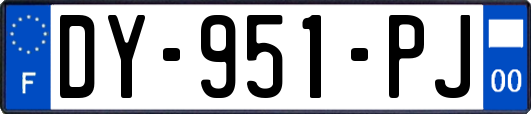 DY-951-PJ