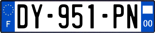 DY-951-PN
