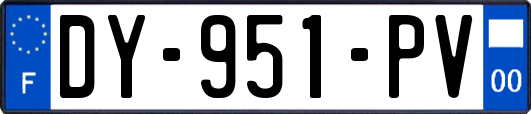 DY-951-PV