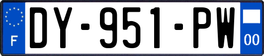 DY-951-PW