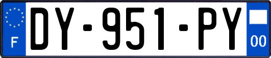 DY-951-PY