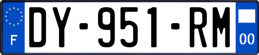 DY-951-RM