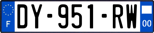 DY-951-RW