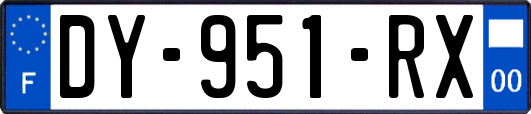 DY-951-RX