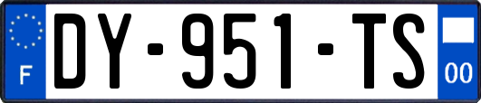 DY-951-TS