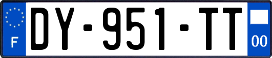 DY-951-TT