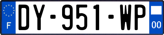 DY-951-WP