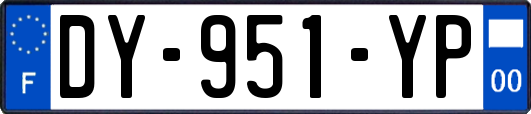 DY-951-YP