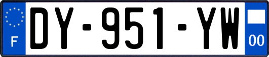 DY-951-YW