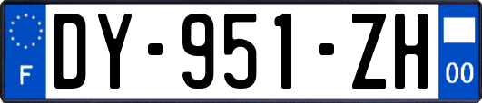 DY-951-ZH