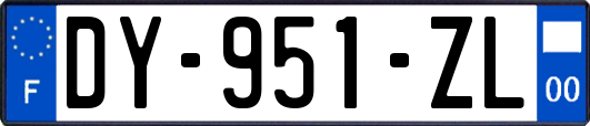 DY-951-ZL