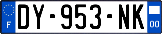 DY-953-NK