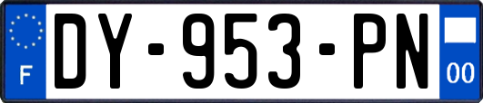 DY-953-PN