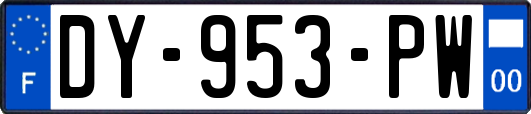 DY-953-PW